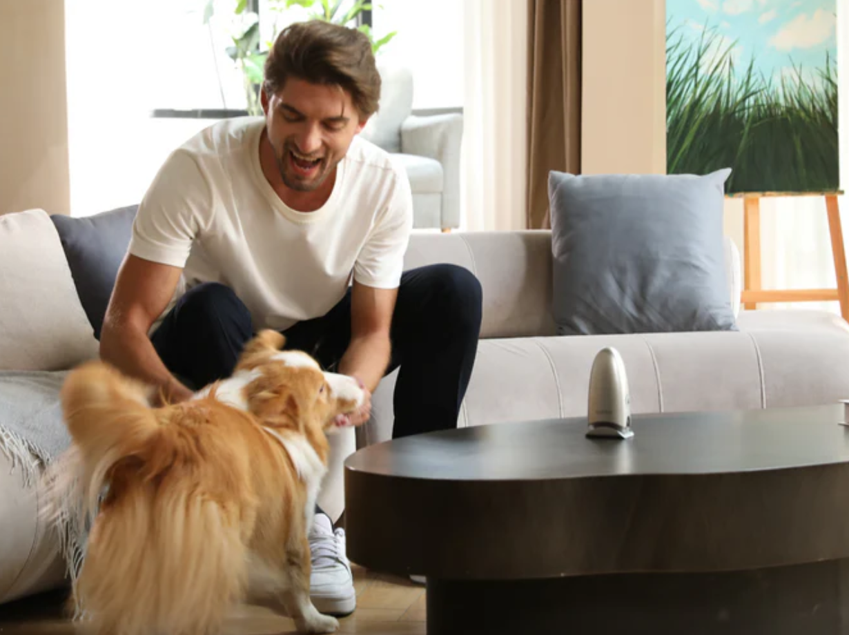 pet friendly minoxidil applicator Rootique DUO