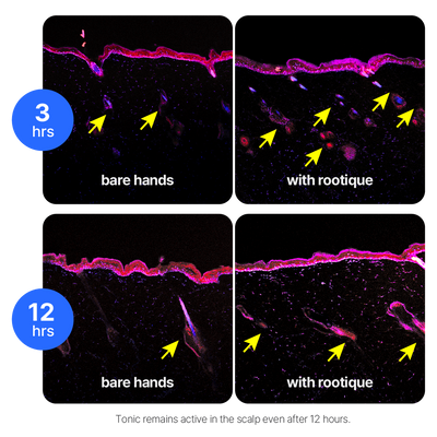 lab absorption comparison: manual vs Rootique DUO application