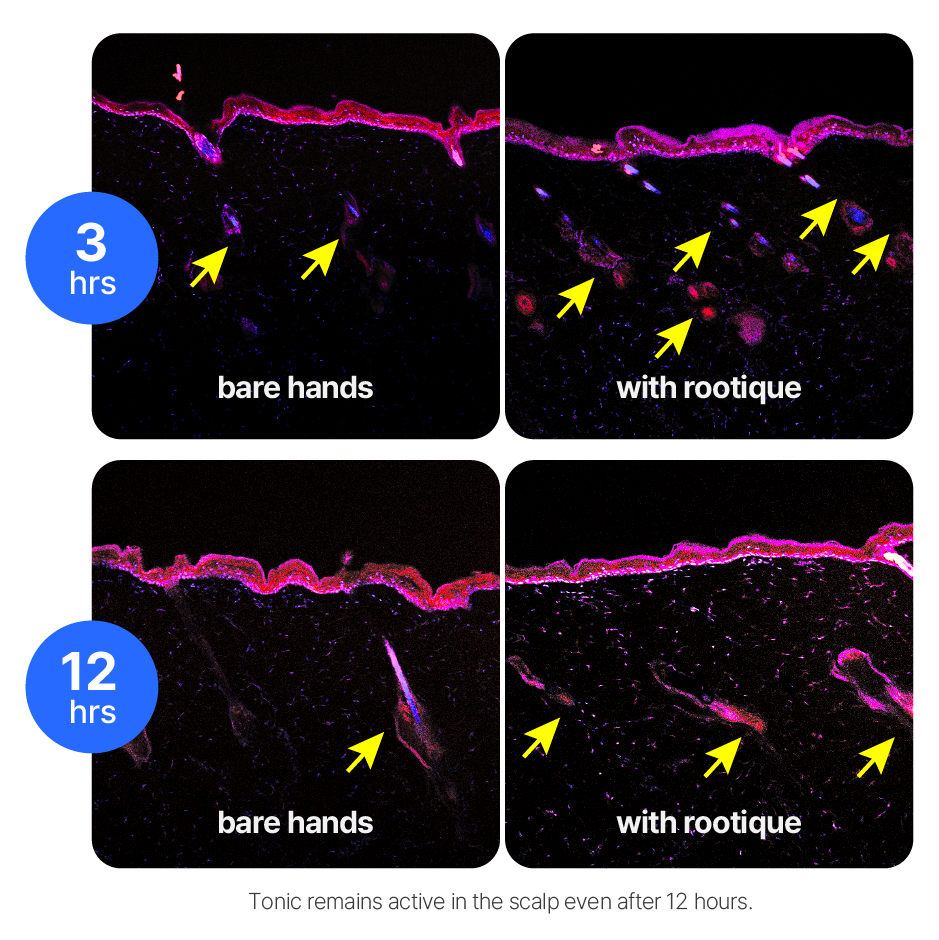 lab absorption comparison: manual vs Rootique DUO application